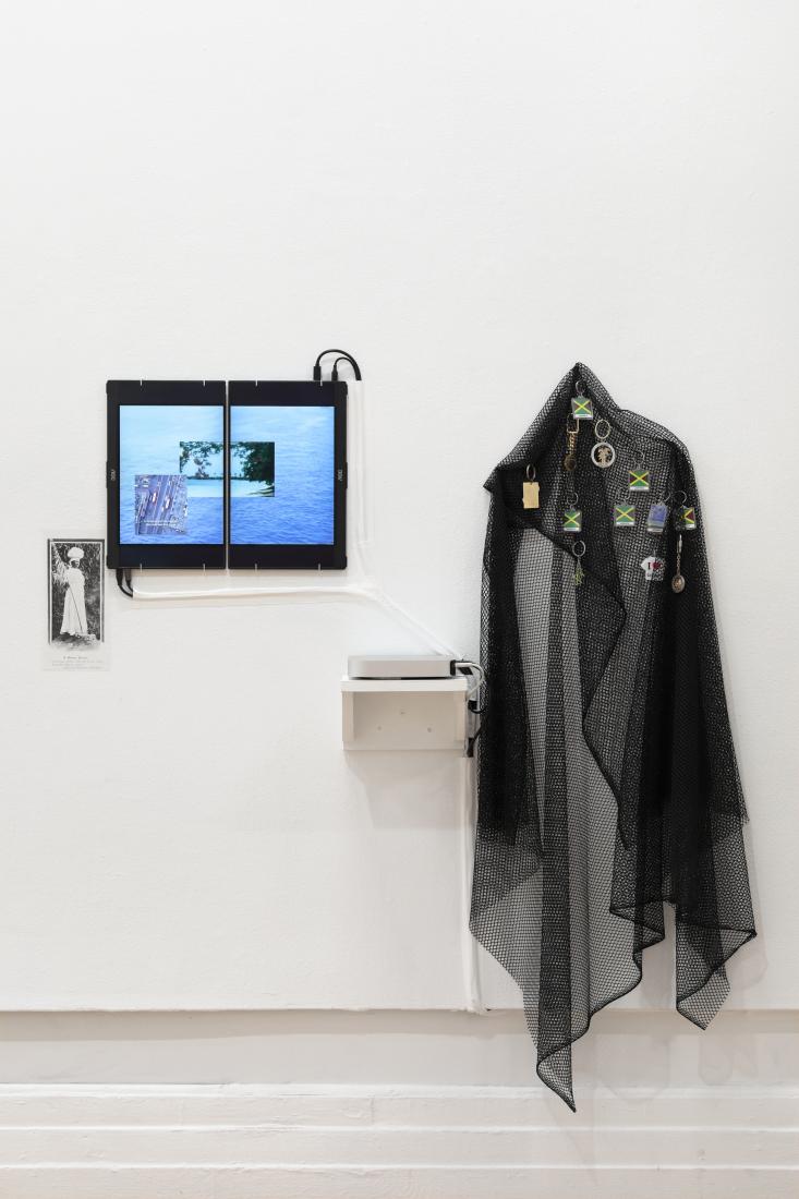 Photo courtesy of David Hale